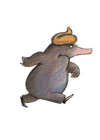 The Story of the Little Mole Who Knew It Was None of His Business