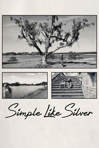 Simple Like Silver