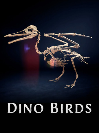 Dino Birds