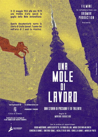 Una Mole di lavoro