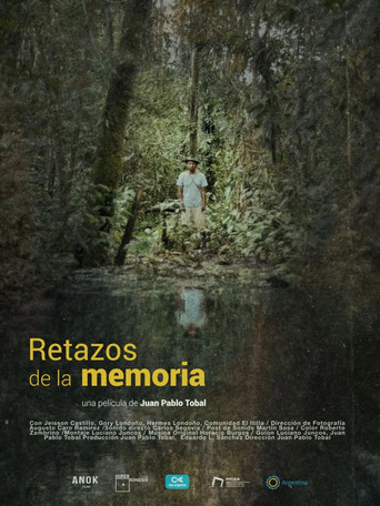 Remnants of memory