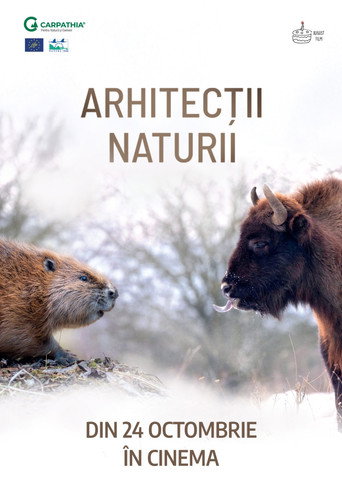 Nature's Architects
