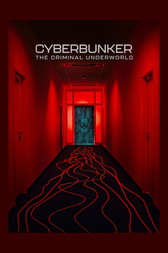 Cyberbunker: The Criminal Underworld