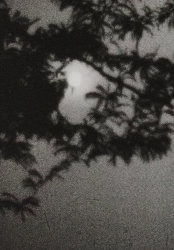 Moonplay