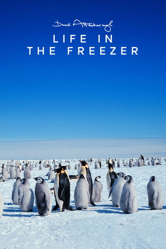 Life in the Freezer