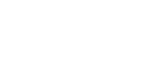 Guns logo