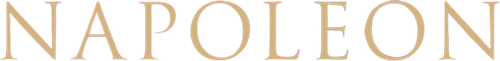 Napoleon logo