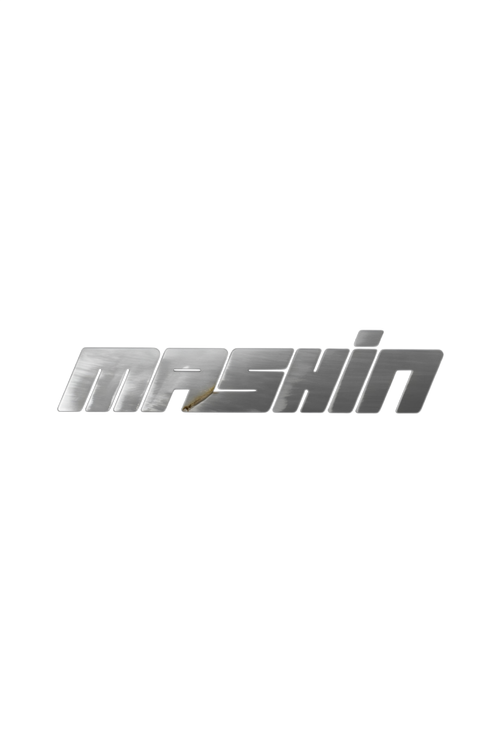 Mashin logo