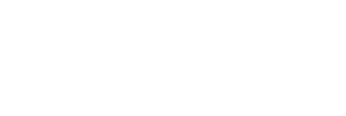 Full Out logo