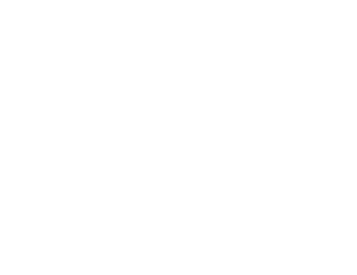 My Secret Star logo
