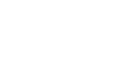 Nighthawks logo