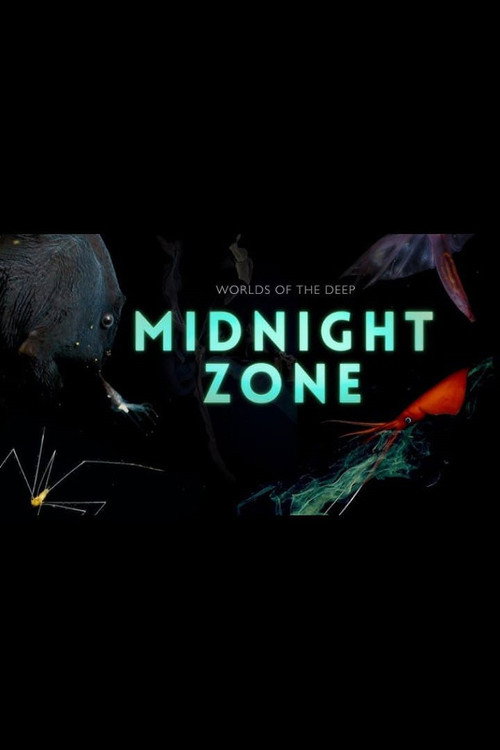 Into the Midnight Zone