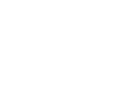 Ring 0 logo