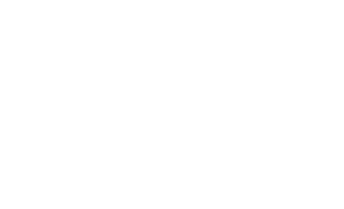 Rick and Morty: The Anime logo