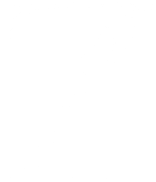 Z logo