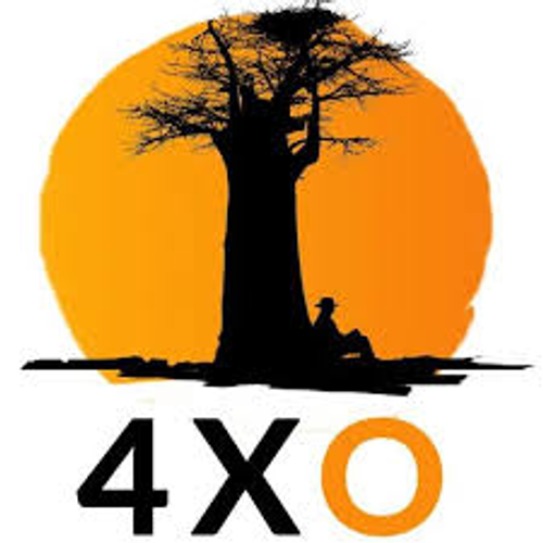 Overlanding logo