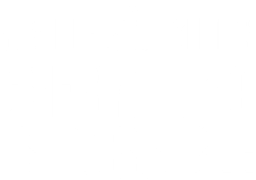 Simple Minds: Everything Is Possible logo