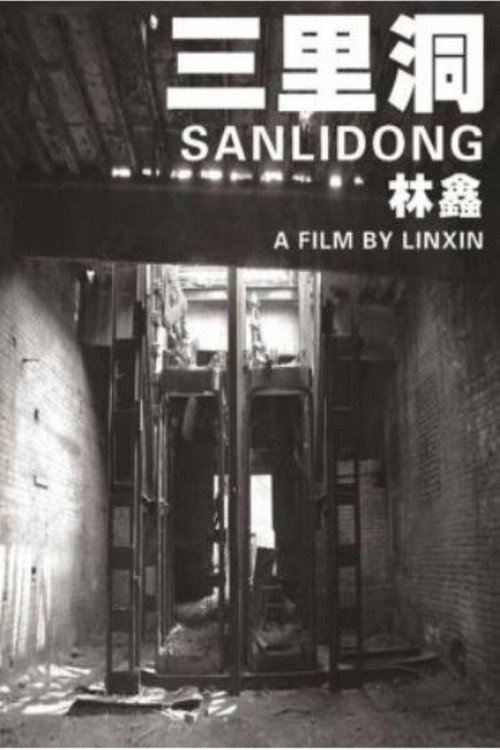 Sanlidong