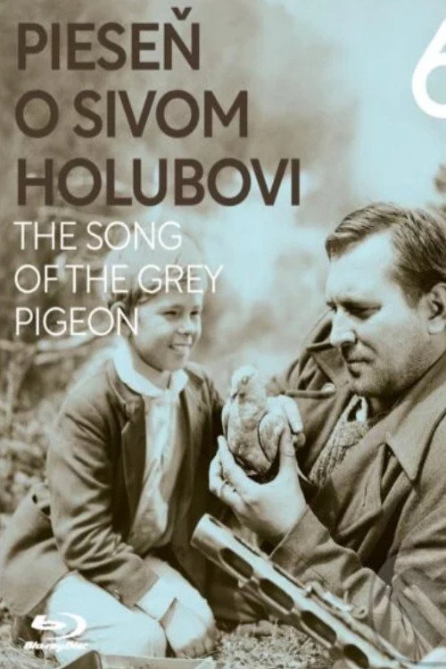 The Song of the Grey Pigeon
