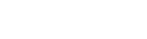 Race the Sun logo
