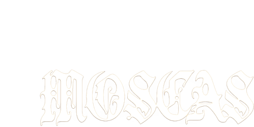 Flies logo