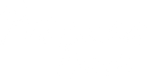 Princess Hours logo