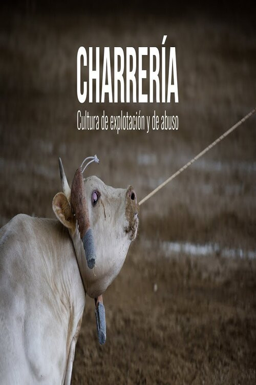 Charrería: Cultura de explotación y e abuso