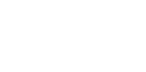 Lucas the Spider logo