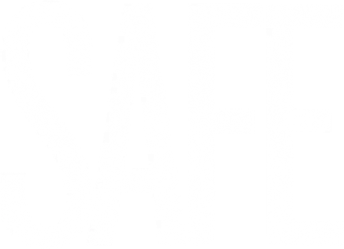 Safe logo