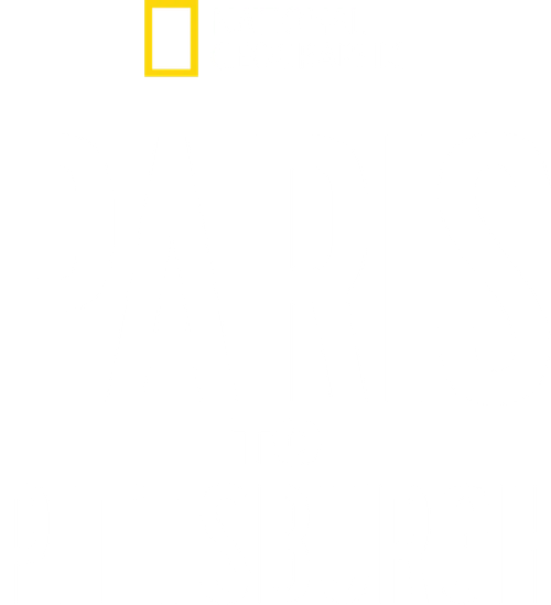 Paris to Pittsburgh logo