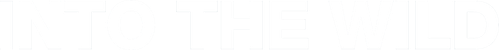 Into the Wild logo