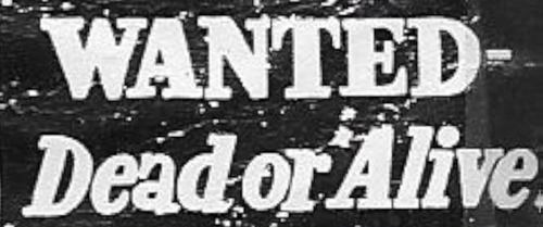 Wanted: Dead or Alive logo