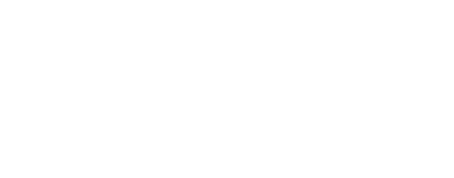 Perfect Addiction logo
