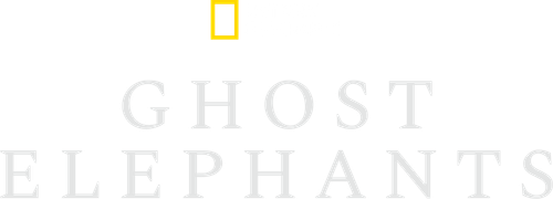 Ghost Elephants logo