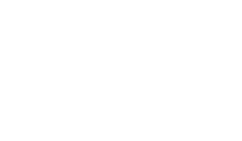 Blue Story logo