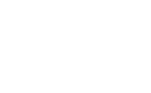 Inside Amy Schumer logo