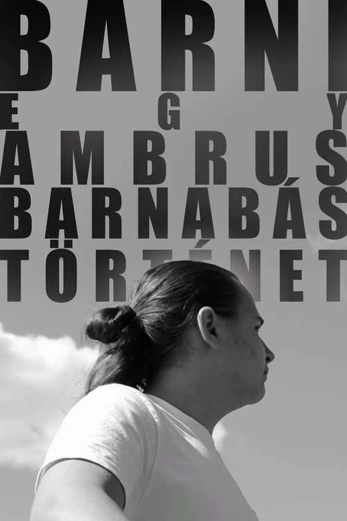 BARNI: A Barnabás Ambrus Story