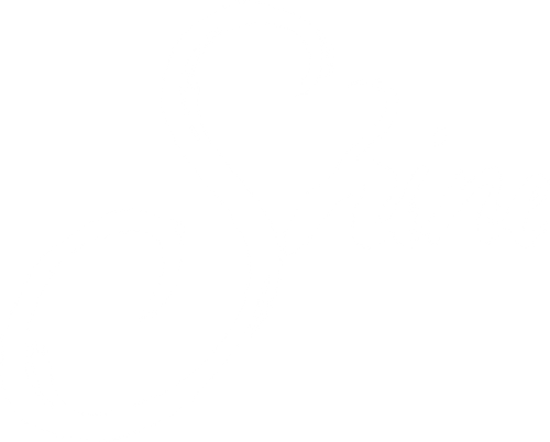 Shine logo