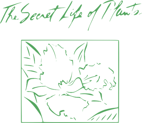 The Secret Life of Plants logo