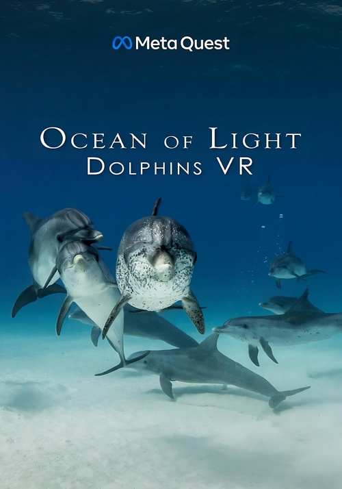 Ocean of Light - Dolphins VR logo