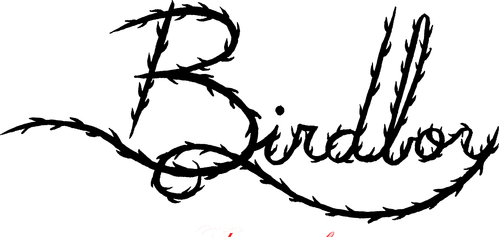 Birdboy logo