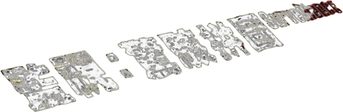 Surveillance logo