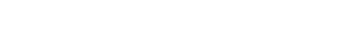 The Big Fake logo