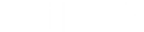 The Punisher logo
