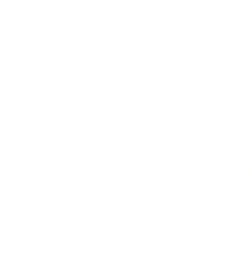 King of the Wild Horses logo