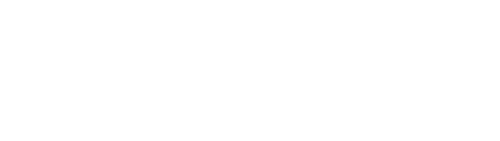 The Next 365 Days logo