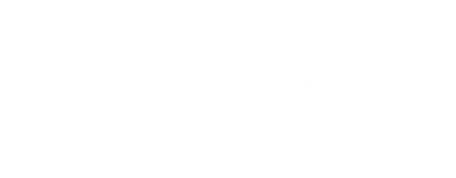 Vikings logo