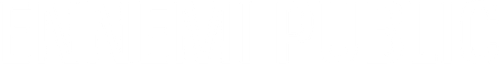 Public Enemy logo