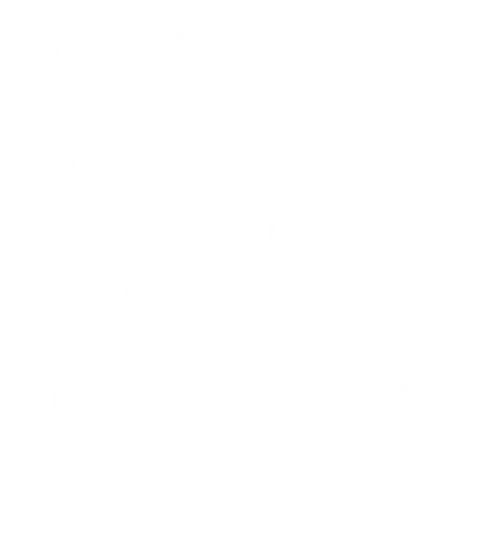 Teki Cometh logo