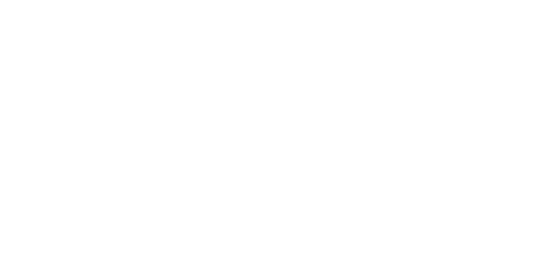 Liar logo
